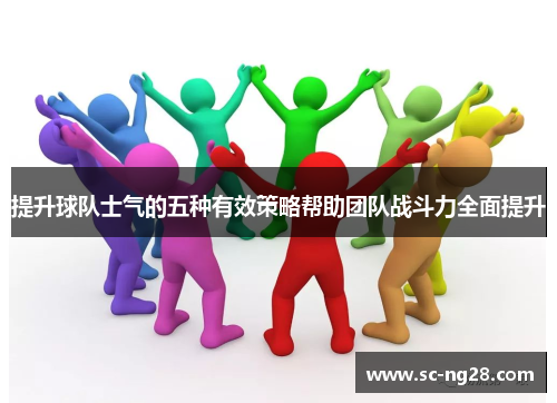 提升球队士气的五种有效策略帮助团队战斗力全面提升