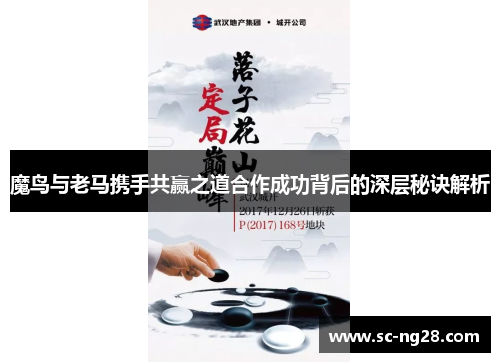 魔鸟与老马携手共赢之道合作成功背后的深层秘诀解析 魔鸟与老马携手共赢之道合作成功背后的深层秘诀解析
