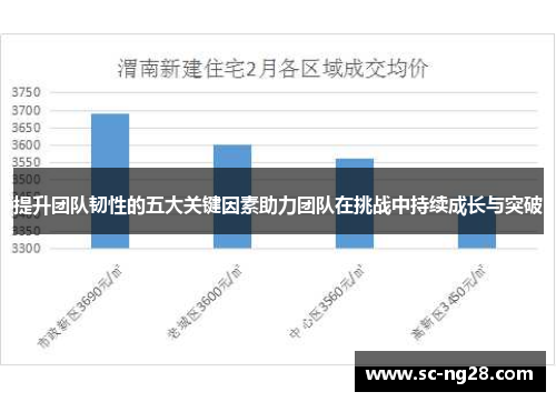 提升团队韧性的五大关键因素助力团队在挑战中持续成长与突破