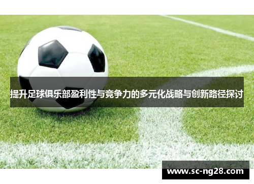 提升足球俱乐部盈利性与竞争力的多元化战略与创新路径探讨