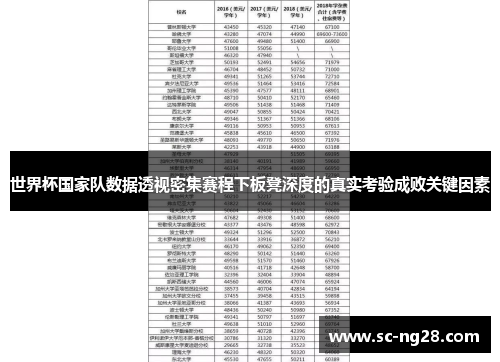 世界杯国家队数据透视密集赛程下板凳深度的真实考验成败关键因素
