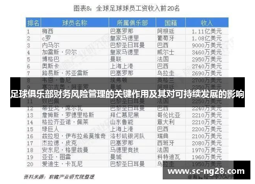 足球俱乐部财务风险管理的关键作用及其对可持续发展的影响