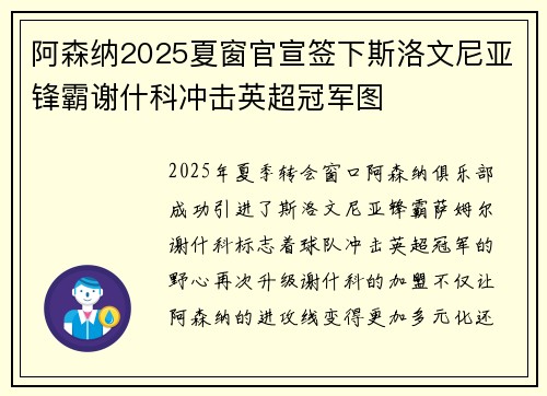 阿森纳2025夏窗官宣签下斯洛文尼亚锋霸谢什科冲击英超冠军图